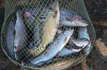 Застава у Оки. Фото 7272.