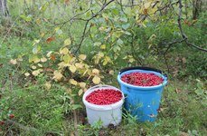 Белые озерки. Фото 7304.