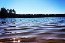 Коркинское озеро. Фото 7316.