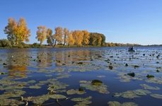 Сузунская заимка. Фото 732.