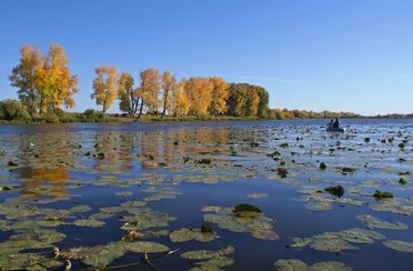 Сузунская заимка. Фото 732.