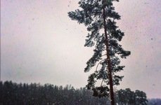 Коркинское озеро. Фото 7320.