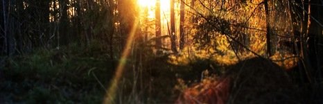 Коркинское озеро. Фото 7321.