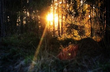 Коркинское озеро. Фото 7321.