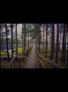 Коркинское озеро. Фото 7326.