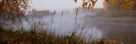 Сузунская заимка. Фото 735.