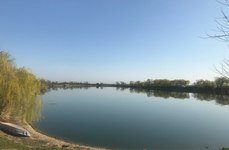 Рыбалка в Пятихатке. Фото 7412.
