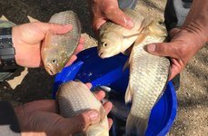 Рыбалка в Пятихатке. Фото 7418.