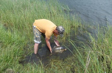 Корниловская балка. Фото 7508.