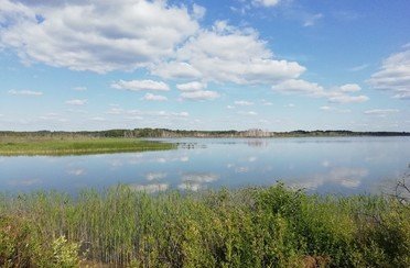 Бежецкий рыбхоз. Фото 7533.