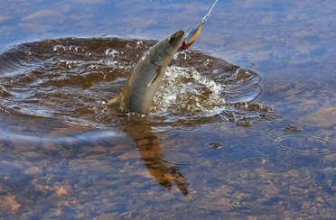 Ини-Бии. Фото 754.