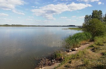 Бежецкий рыбхоз. Фото 7540.
