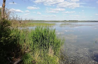 Бежецкий рыбхоз. Фото 7542.