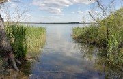 Бежецкий рыбхоз. Фото 7543.
