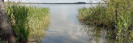 Бежецкий рыбхоз. Фото 7543.