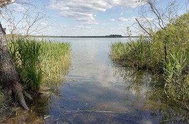 Бежецкий рыбхоз. Фото 7543.