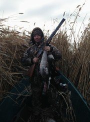 Дом в дельте. Фото 7557.