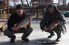 Дом в дельте. Фото 7562.