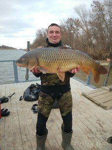 Дом в дельте. Фото 7564.