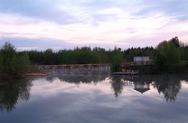 Боры. Фото 7573.