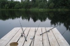 Боры. Фото 7575.