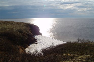 Ханавэй Ся. Фото 7585.