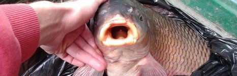 Двуреченское. Фото 761.