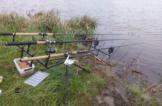 Ежово. Фото 7610.