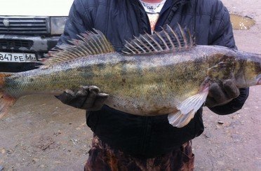 Двуреченское. Фото 763.