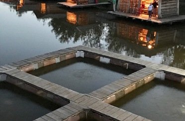 Белуга. Фото 7653.