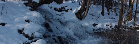Веребково. Фото 7665.