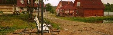 Васильки. Фото 7676.