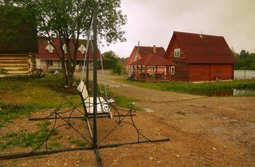 Васильки. Фото 7676.