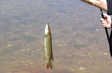 Усадьба Арлазорова. Фото 7680.