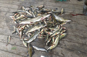 Озеро Светлое. Фото 7685.