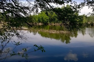 Шибуми. Фото 769.