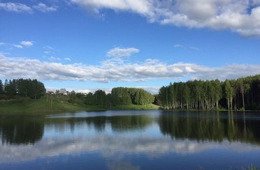 Сибирский двор. Фото 7691.