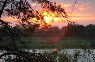 В гостях у сказки - Дубки. Фото 7743.