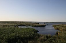 Дагестанское. Фото 7759.