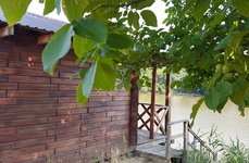 Золотой родник. Фото 7791.