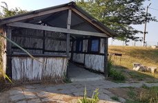 Золотой родник. Фото 7792.