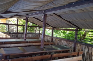 Золотой родник. Фото 7798.