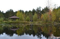 Остров. Фото 7807.