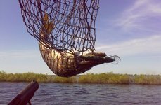 Остров. Фото 7809.