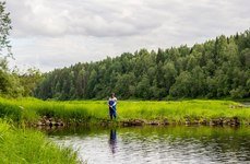 Маркомусы. Фото 7884.