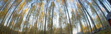 Крутояр. Фото 7895.