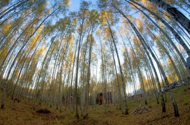 Крутояр. Фото 7895.