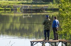 Фишка. Данилово.. Фото 7955.