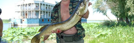 Волга-дельта. Фото 803.