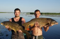 Волга-дельта. Фото 807.